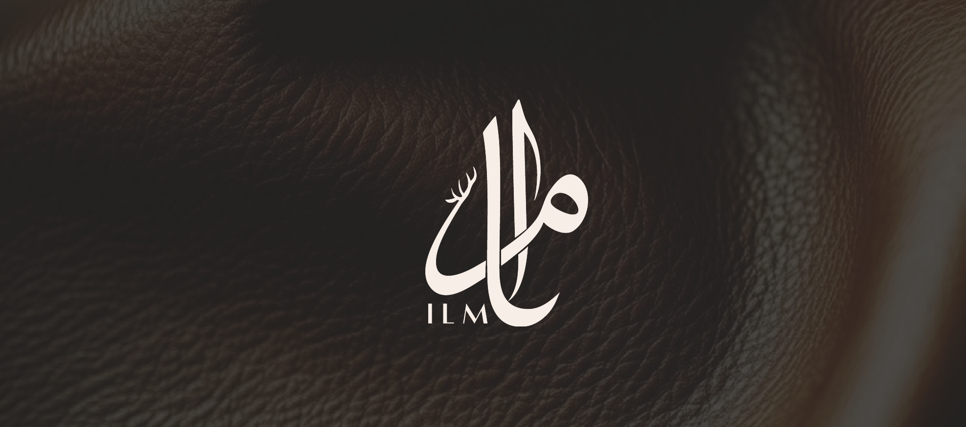 ILM Brand Identity - Main